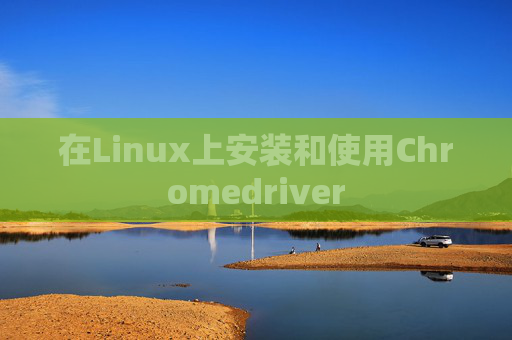 在Linux上安装和使用Chromedriver