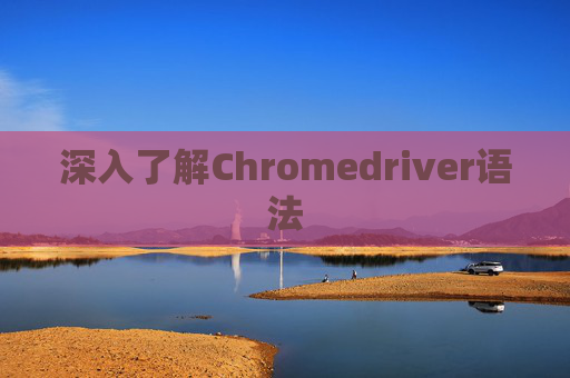 深入了解Chromedriver语法