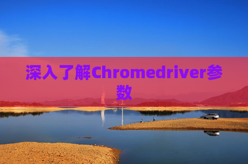 深入了解Chromedriver参数